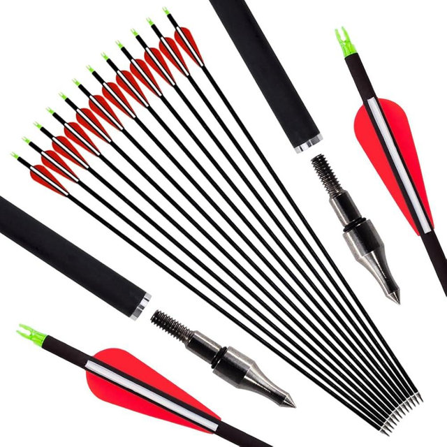 Luoyer 12Pcs Archery Hunting Arrows for Compound Bow Recurve Bow with Removable Tips Adjustable Nocks for Adults Hunting Targeting 30inch