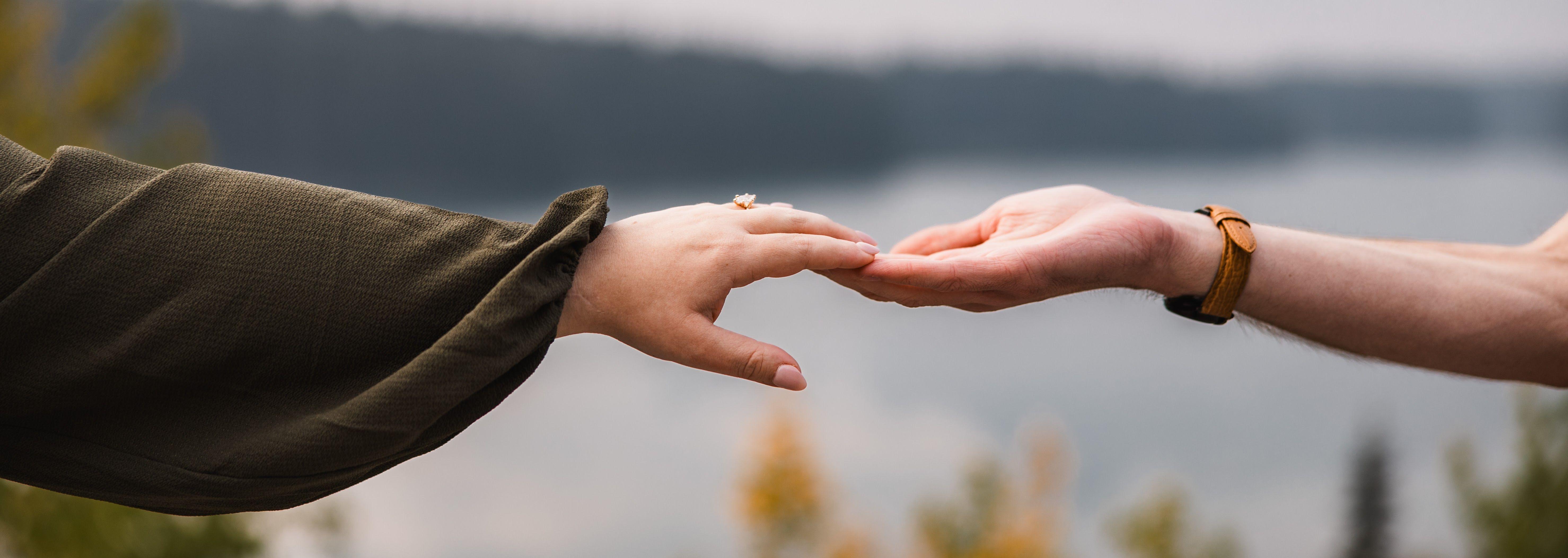 The Wedding Website of Leila Saleh and Daniel Palmer