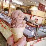 Nelson's Ice Cream
