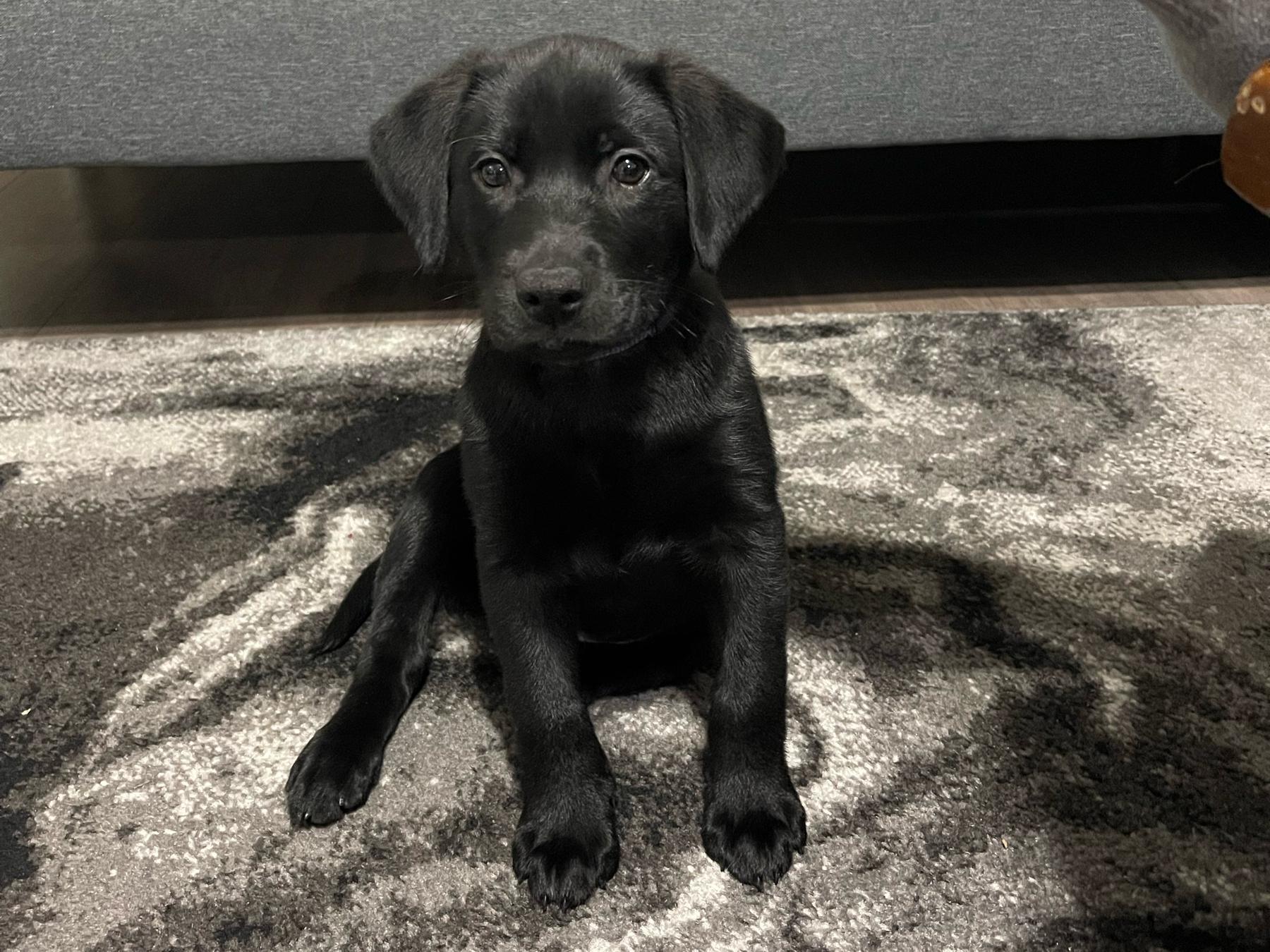 The Wedding Website of Hannah Robinson and Joey Ulrich