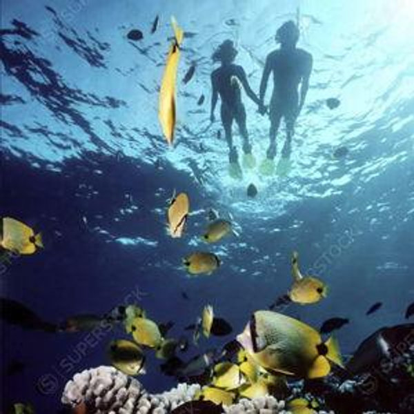 Snorkeling For Two On Our Honeymoon