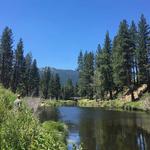 Float the Feather River