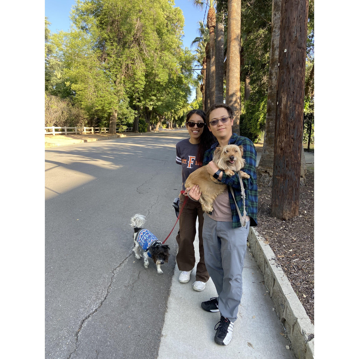 Not our doggies, we were just borrowing them!