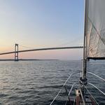 Pineapple Sailing