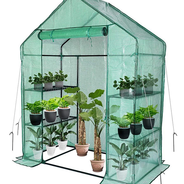 Greenhouse,Outdoor Greenhouse,Portable Greenhouse with Anchors and Roll-up Zipper Door,Grow Plants Seedlings Herbs or Flowers(56"×30"×76")