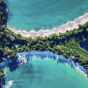 Manuel Antonio National Park Tour | Honeymoon