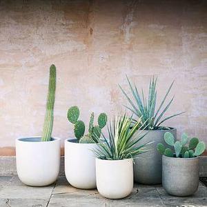 Radius Planters