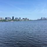 Go for a walk on the Harvard Bridge!
