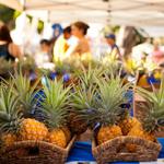 KCC Farmers’ Market