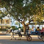 Historic Charleston Carriage Tours