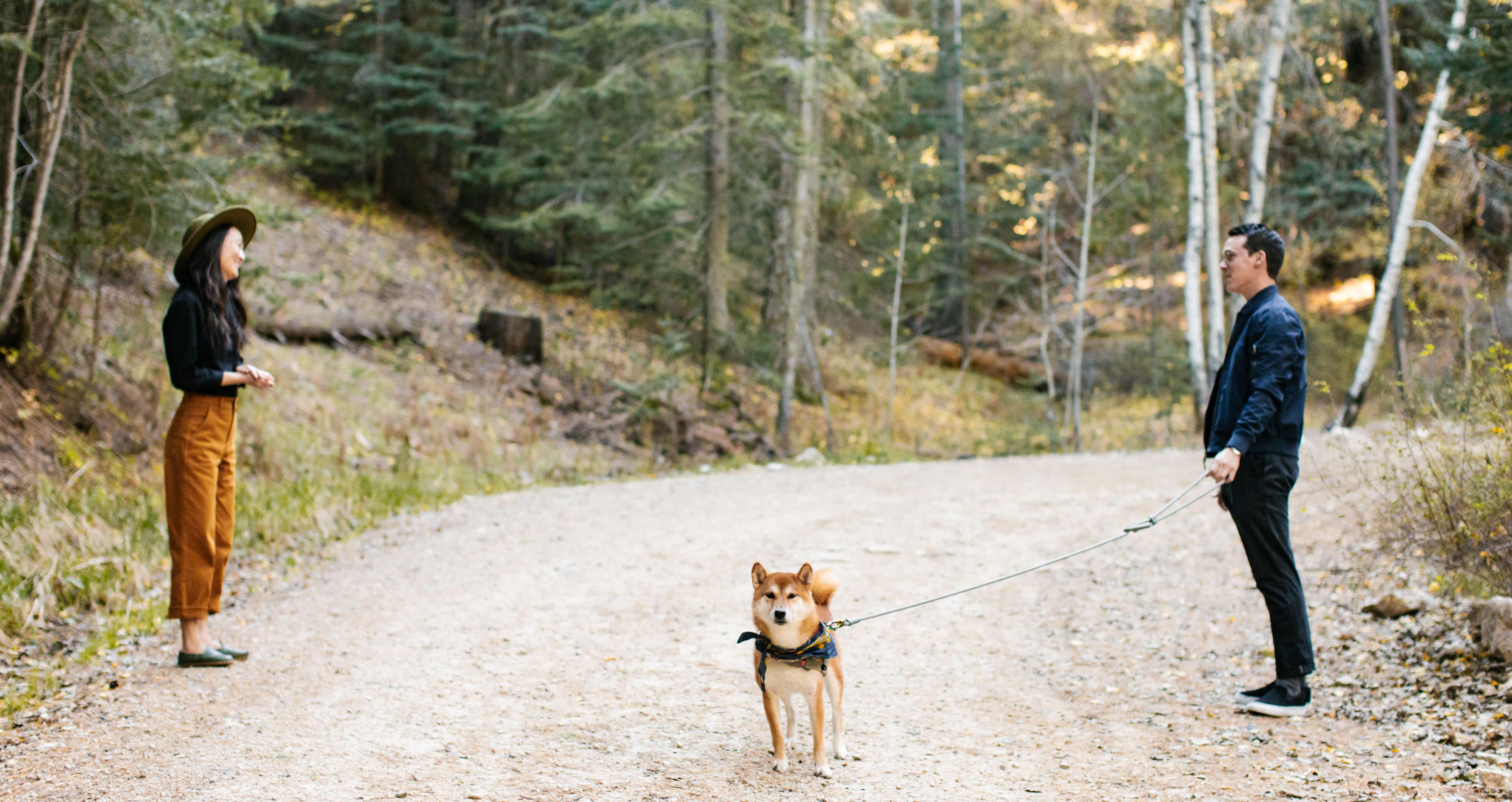 The Wedding Website of Jen Akazawa and Alex Felli