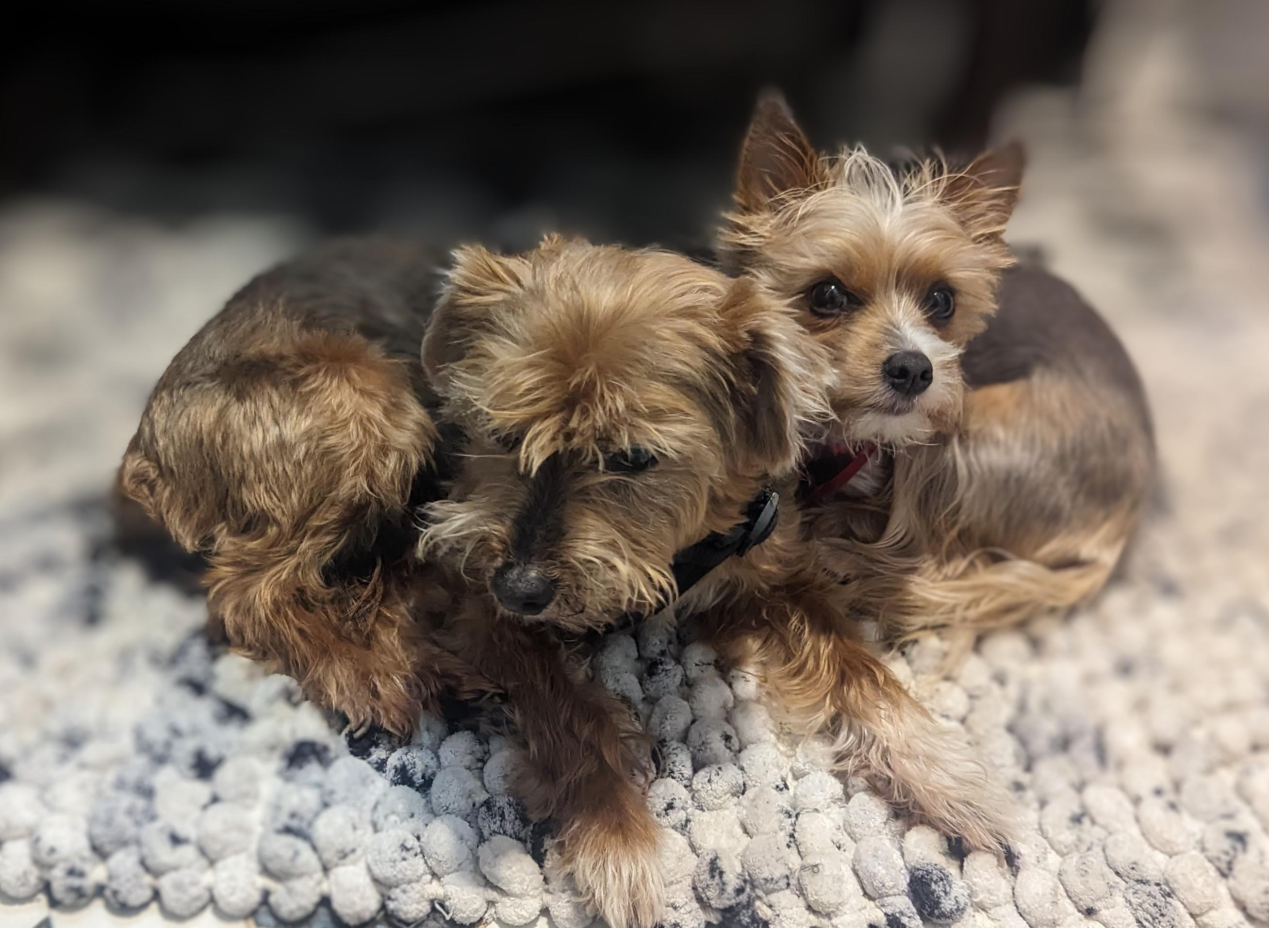 The Wedding Website of Jessica Garcia Solis and Roger Crihfield