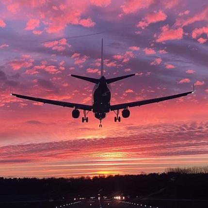 Honeymoon Flights ✈️