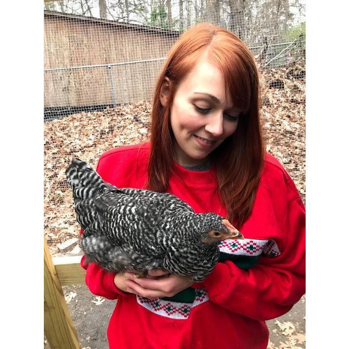 Gracie - our third chicken.