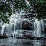 Anayadikuthu Waterfalls