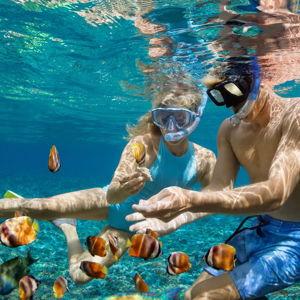 Captain Cook Snorkeling Adventure