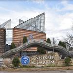 Tennessee Aquarium