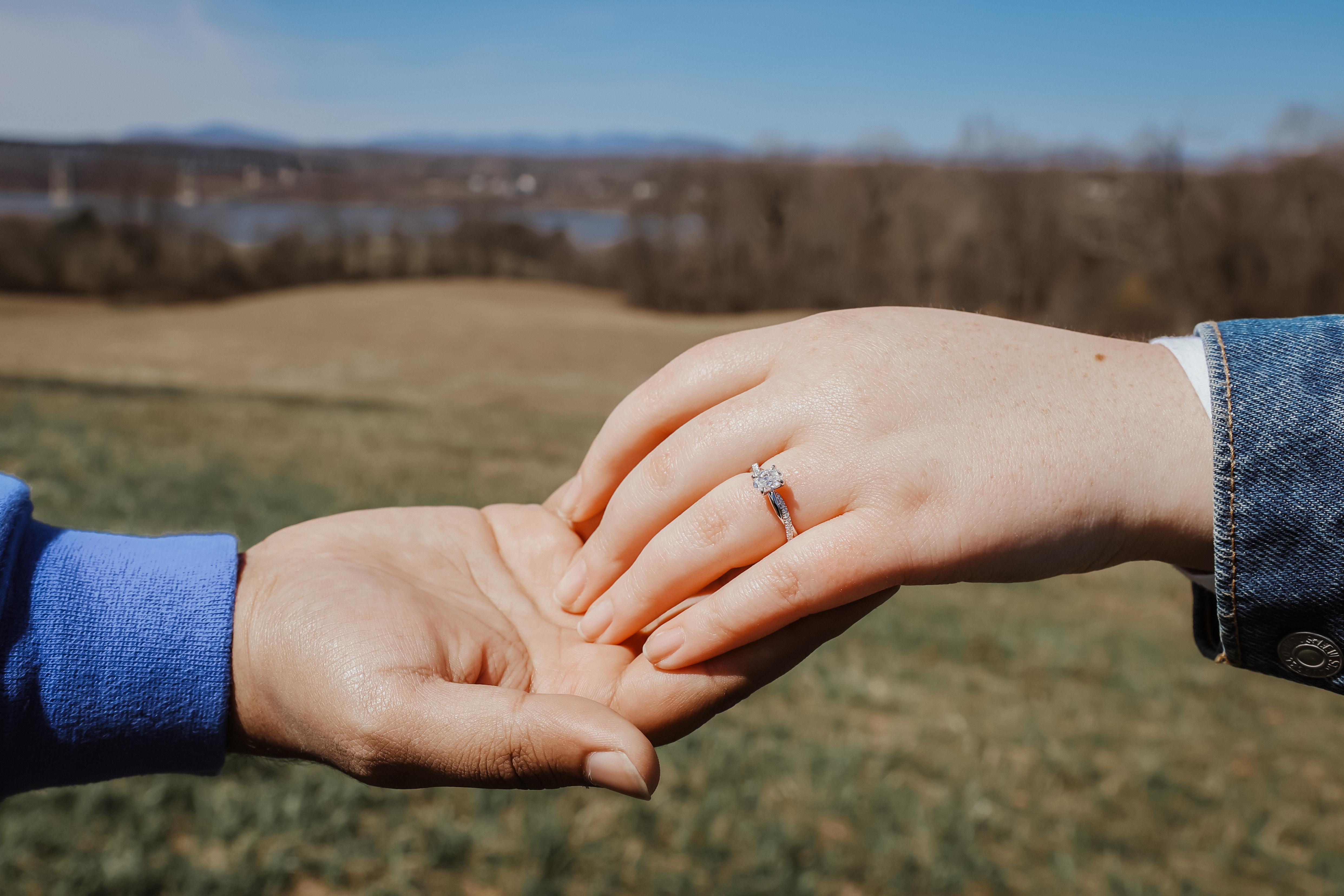 The Wedding Website of Casie Snow-Hebel and Daveed Ramesh