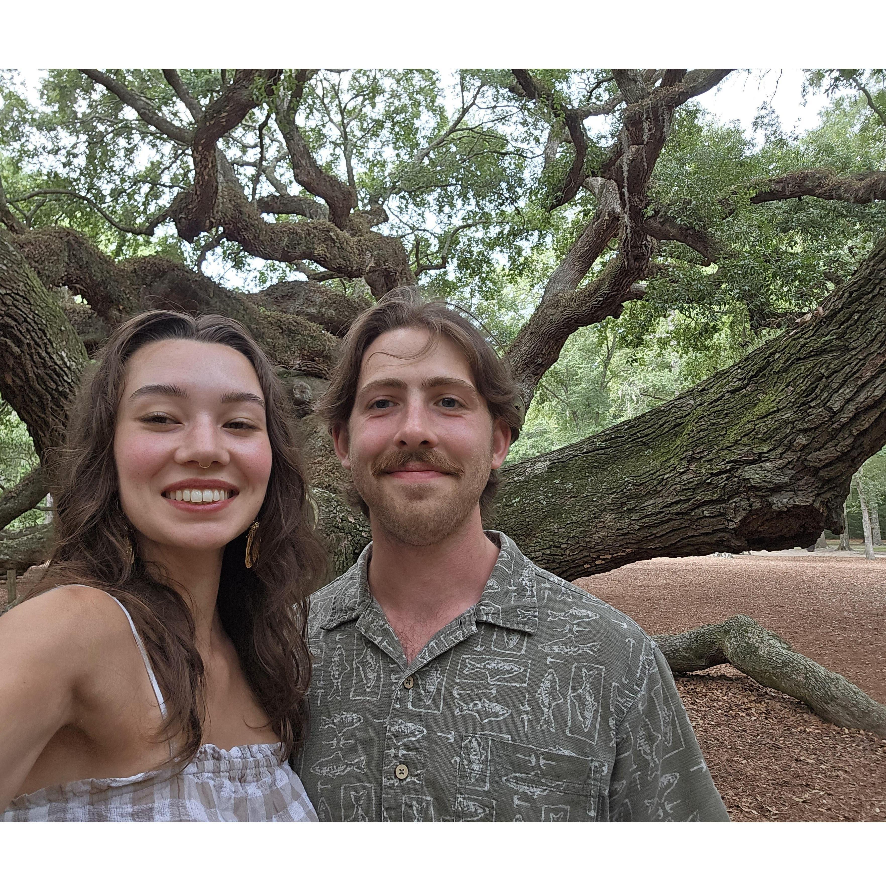 07-08-2024 - Angel Oak Tree, Charleston, SC
