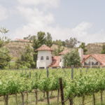 Somerset Winery