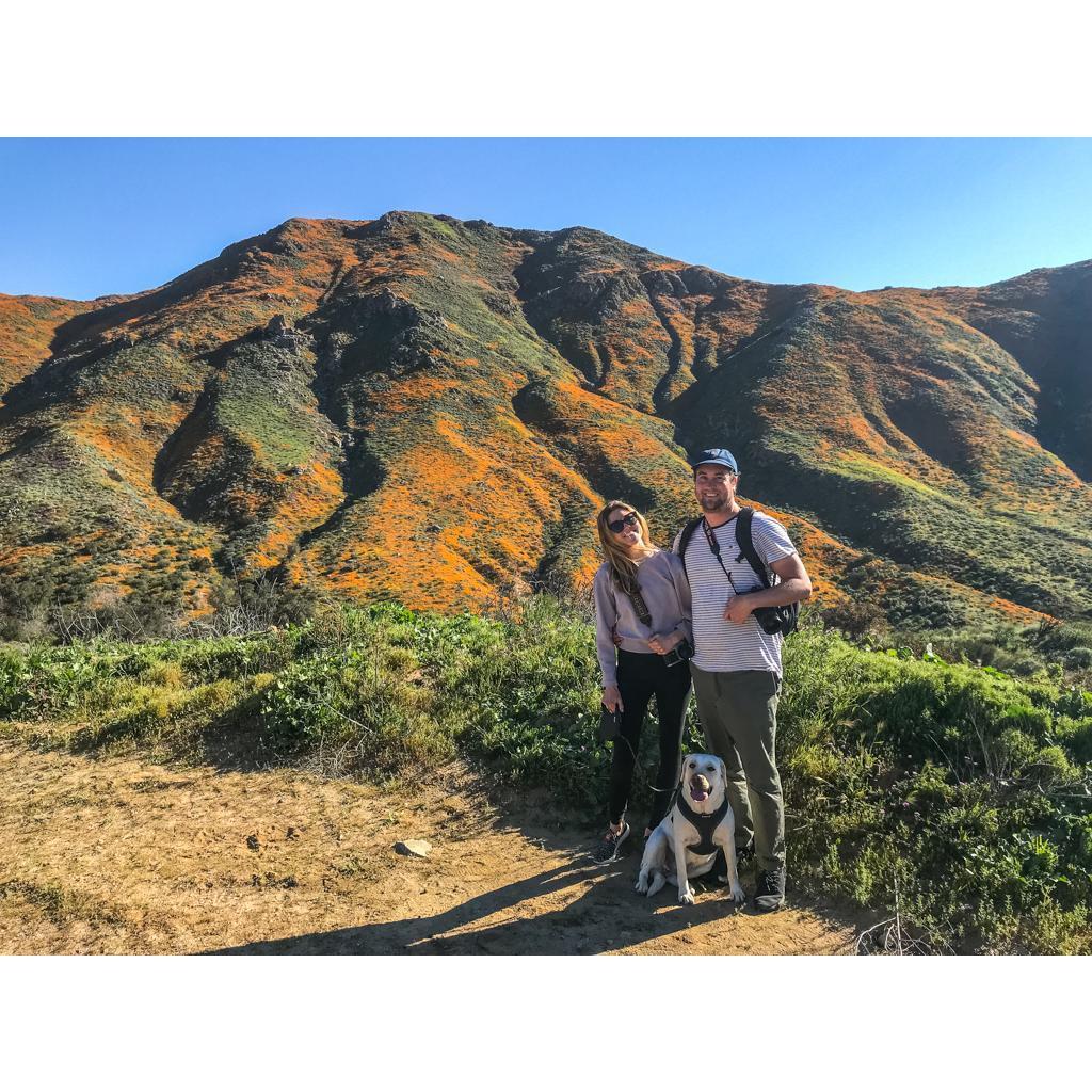 Super Bloom, super family! March 2019
