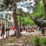 Pearl Street Mall