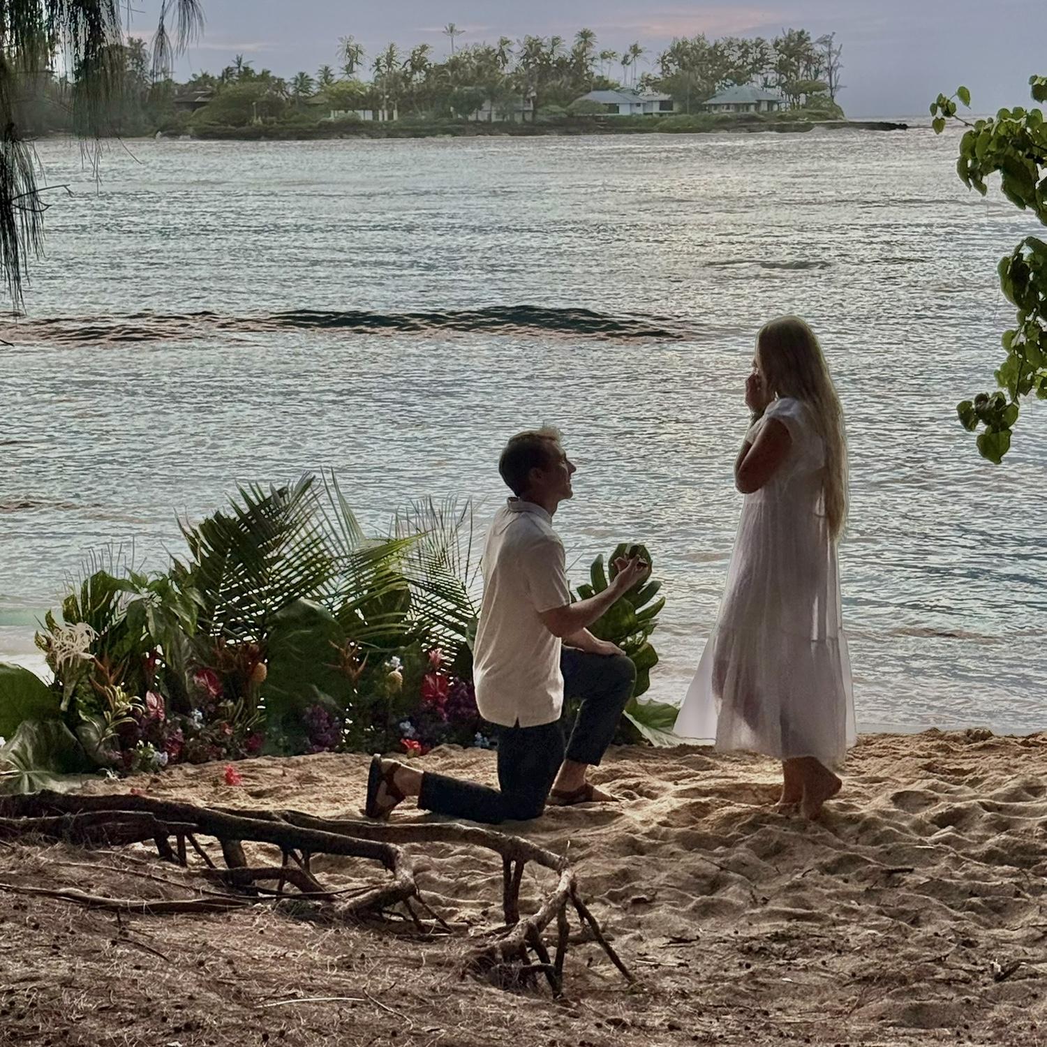 Hawaii proposal