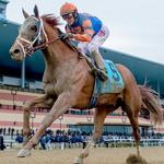 Kentucky Derby Museum