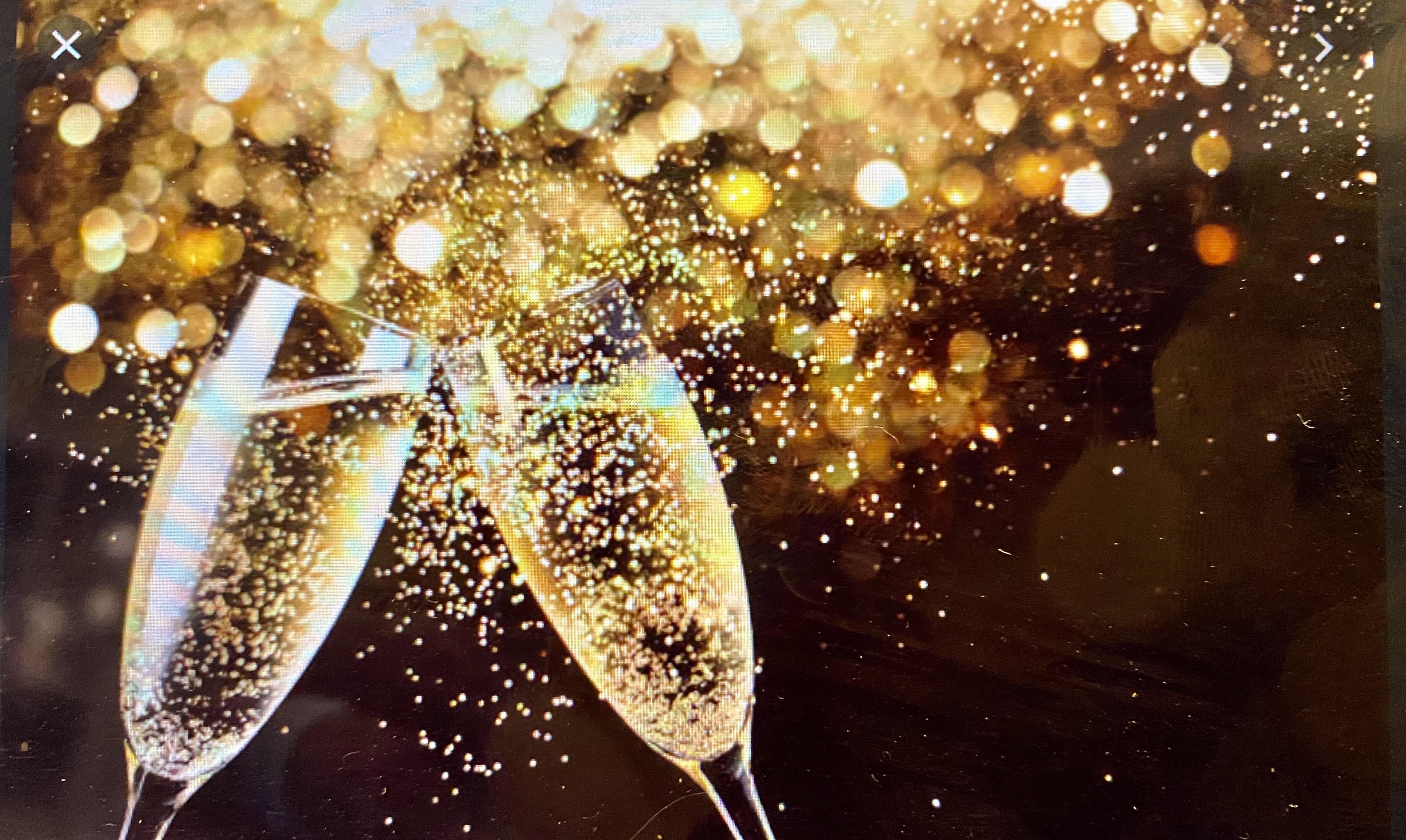 The Wedding Website of Audrey Vaughn and Slater Johnson