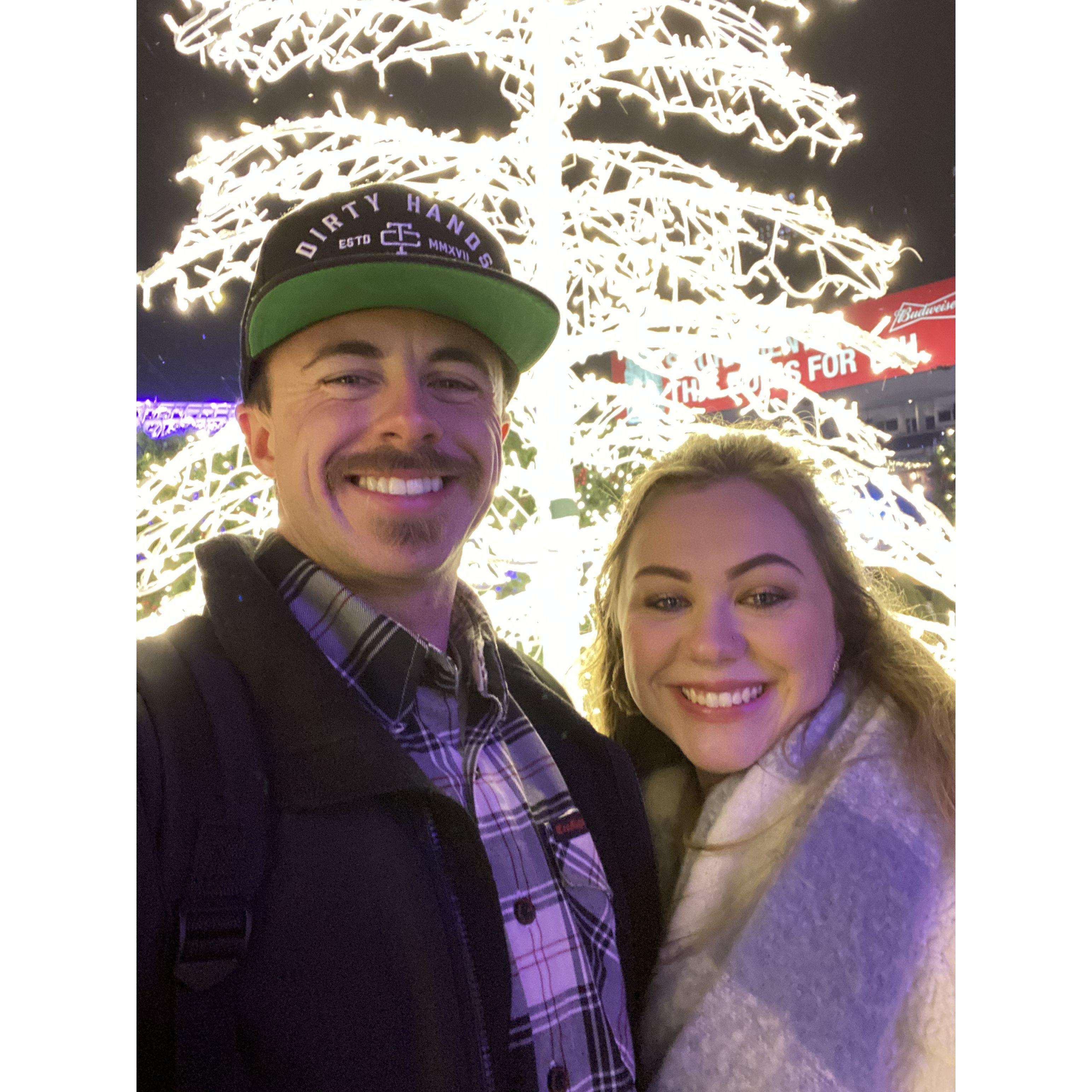 Christmas Light Show