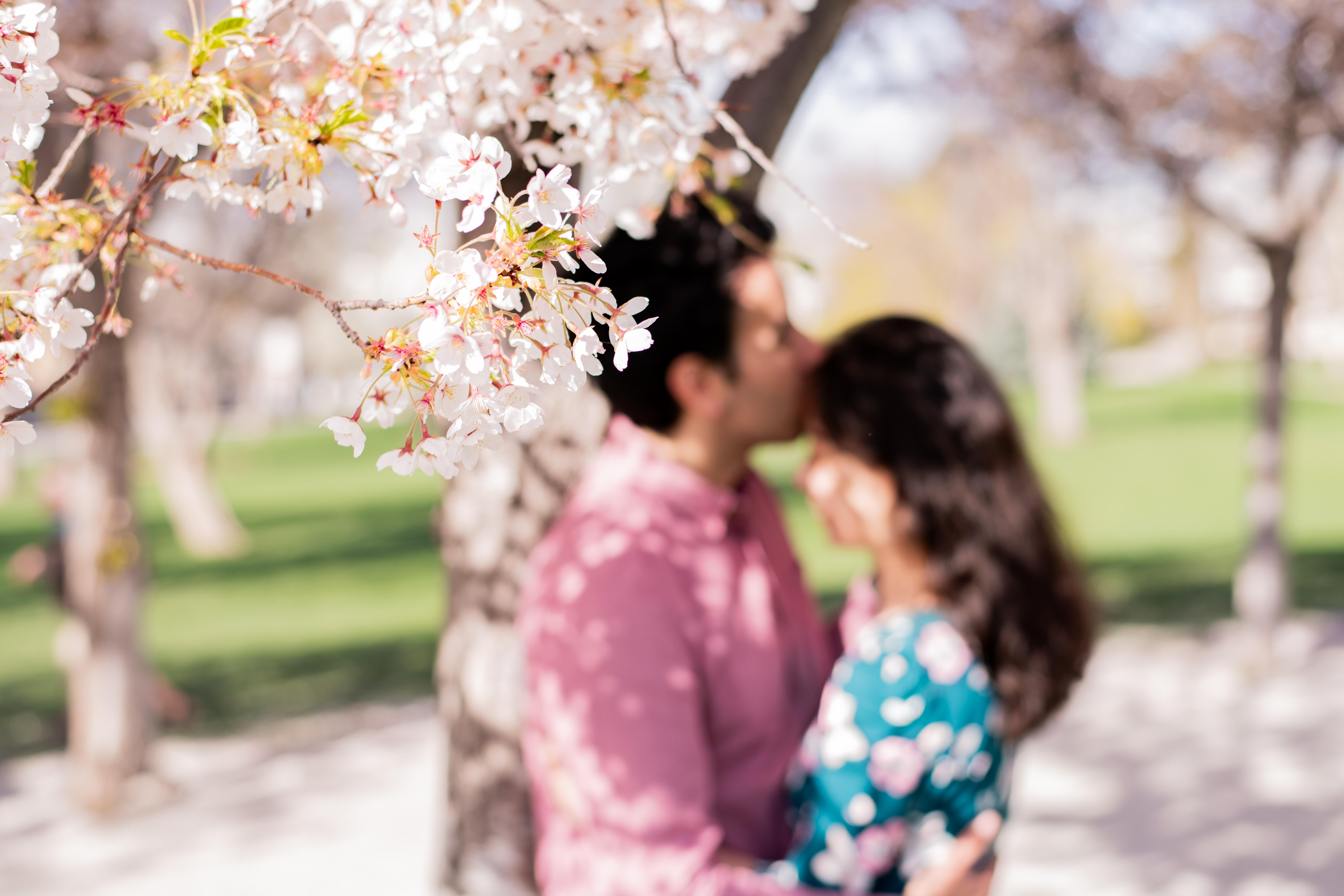 The Wedding Website of Aaron Fisher and Meng Yang