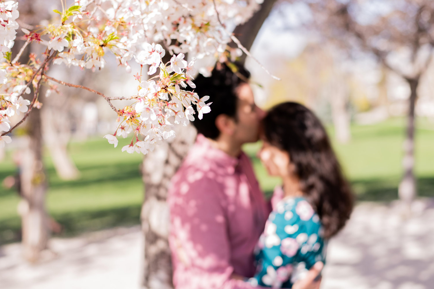 The Wedding Website of Aaron Fisher and Meng Yang