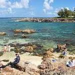 Sharks Cove- Snorkeling