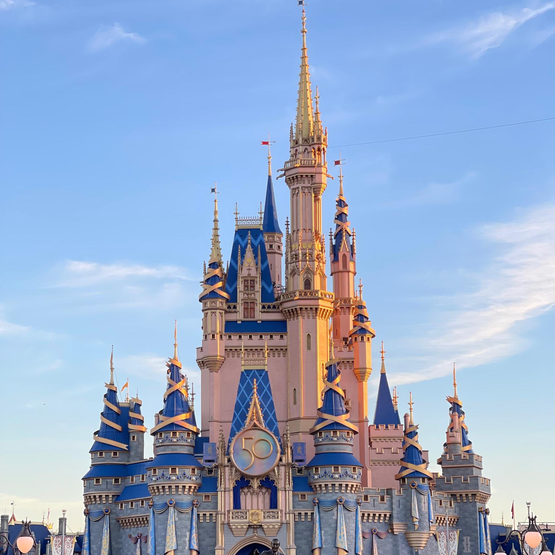 Disney Honeymoon Dinner Fund!