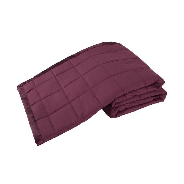 Elite Home Down Alternative Solid King Blanket