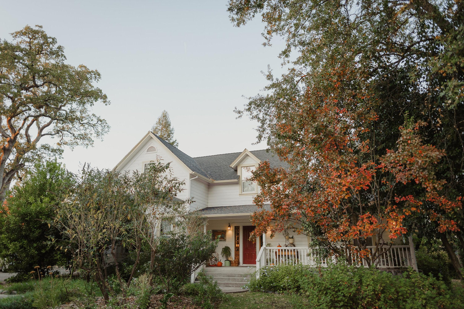 The Wedding Website of Shannon Schenck and Thomas Morris