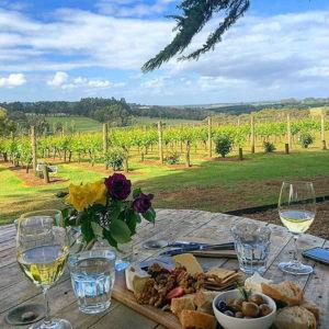 Wine Tasting in New Zealand