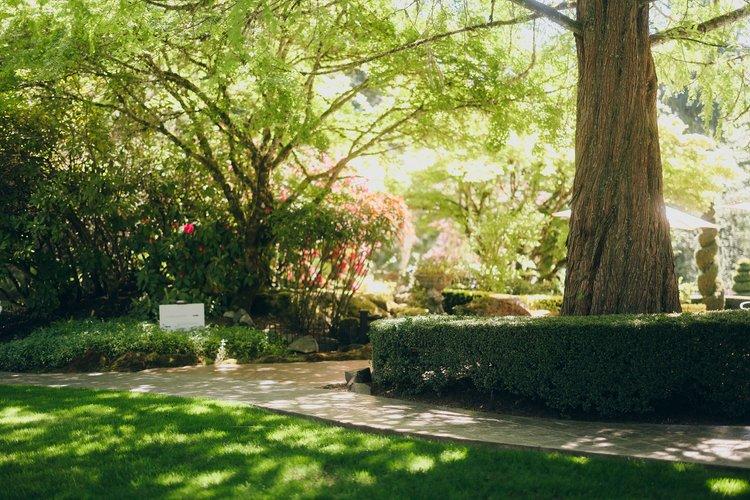 The Wedding Website of Alex Gulino and Mackenzie Curran