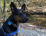 William B. Umstead State Park
