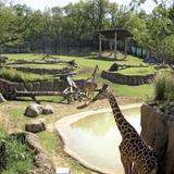 Dallas Zoo