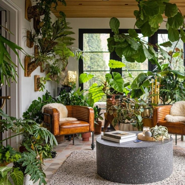 Indoor House Plants Fund
