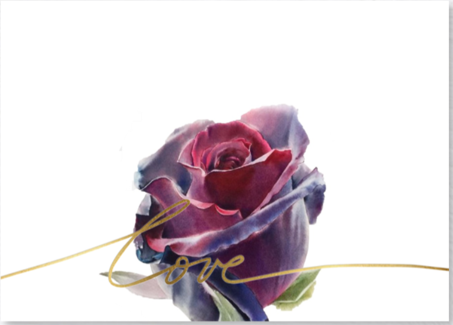 The Wedding Website of Aisling O'Donoghue and Brian Mathews