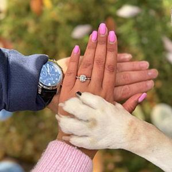 Our newlywed fund