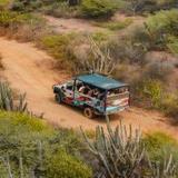 Activities & Island Tours