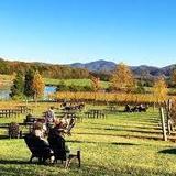 Afton Mountain Vineyards