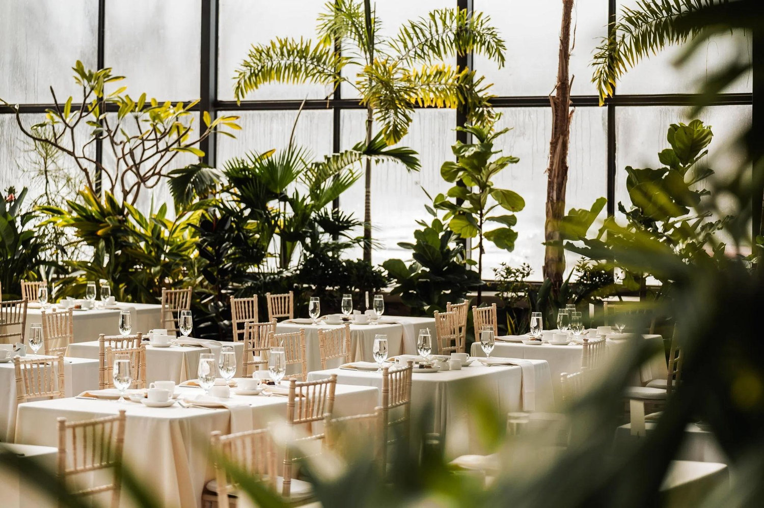 The Wedding Website of Nathan Dubord and Kayla Davis