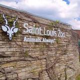 Saint Louis Zoo