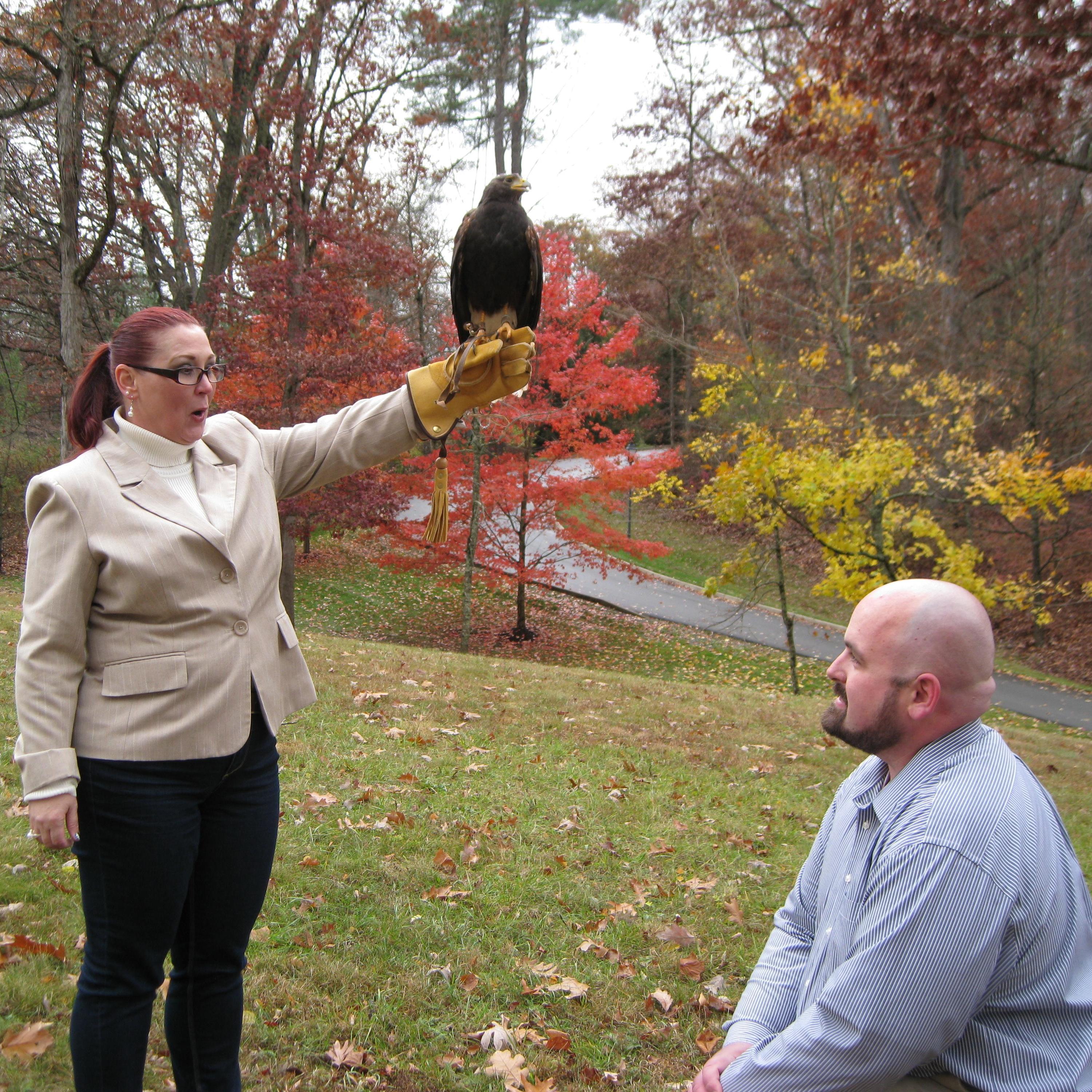 Timothy completely surprises Dawn with his proposal. You can tell by that dumb look on her face.
