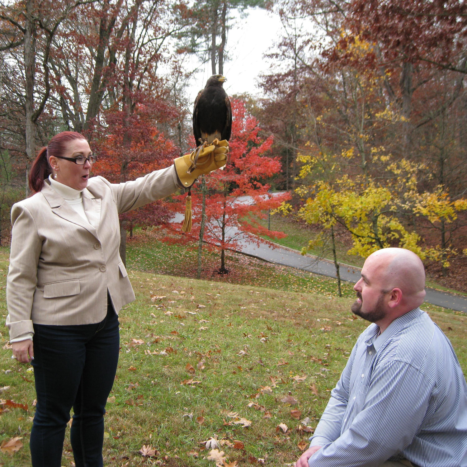 Timothy completely surprises Dawn with his proposal. You can tell by that dumb look on her face.
