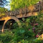 Crystal Springs Rhododendron Garden